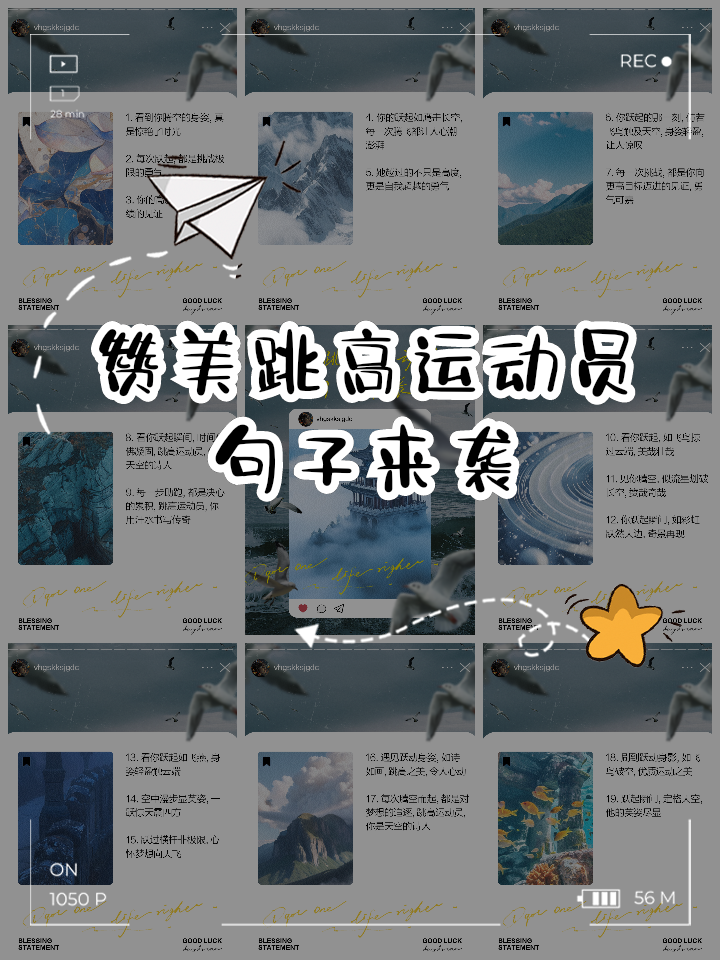 开云体育官网-观众见证运动之美，心潮澎湃不已