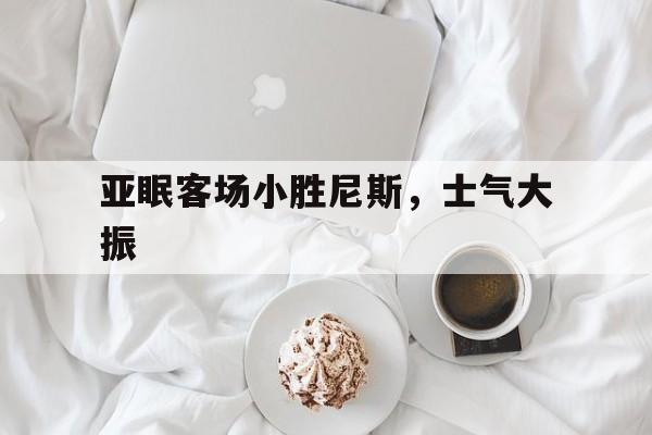开云APP-亚眠客场小胜尼斯，士气大振的简单介绍