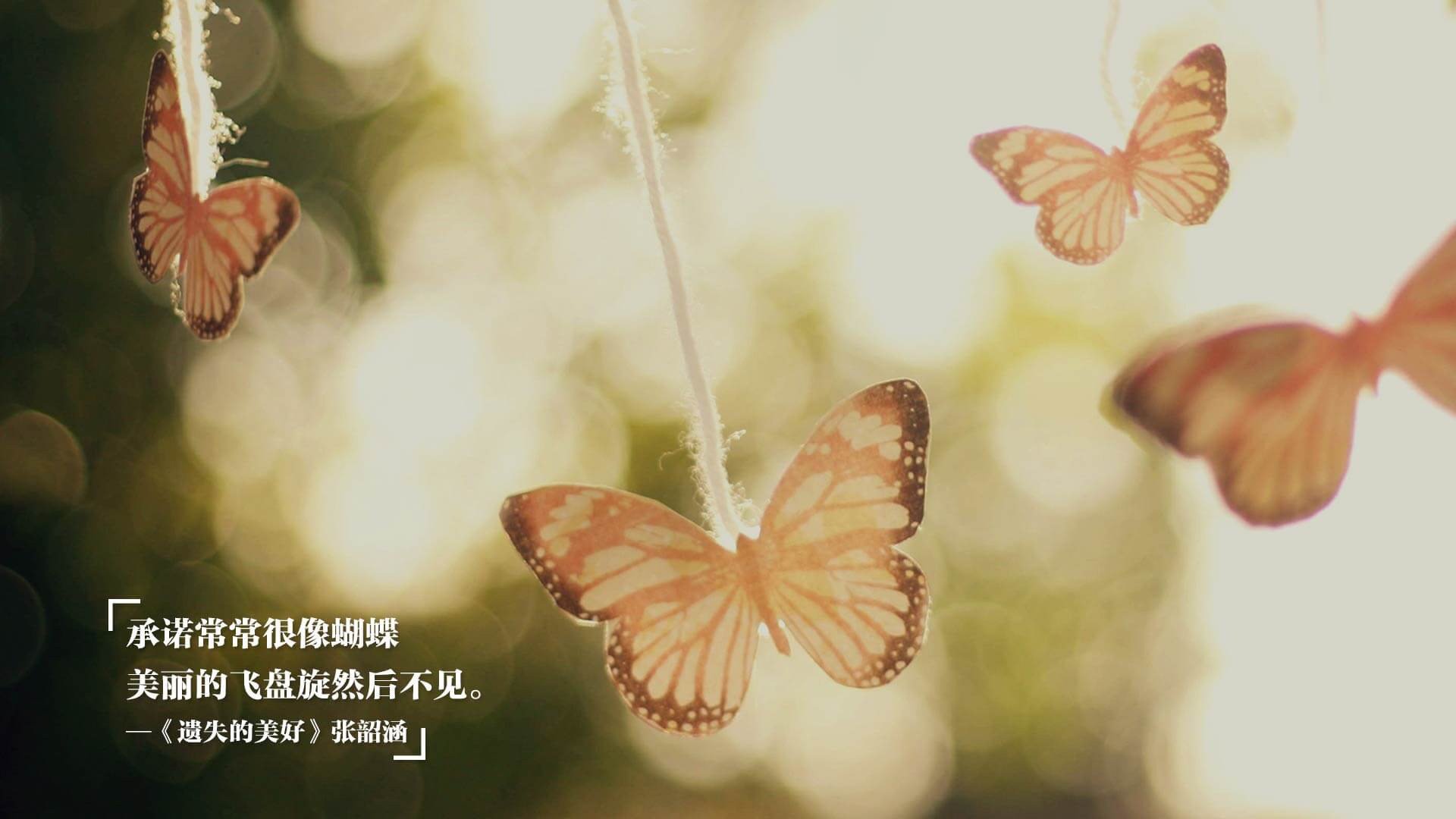 跨界风暴，广厦队横扫鹈鹕，拉文在英超争冠战中独领风骚