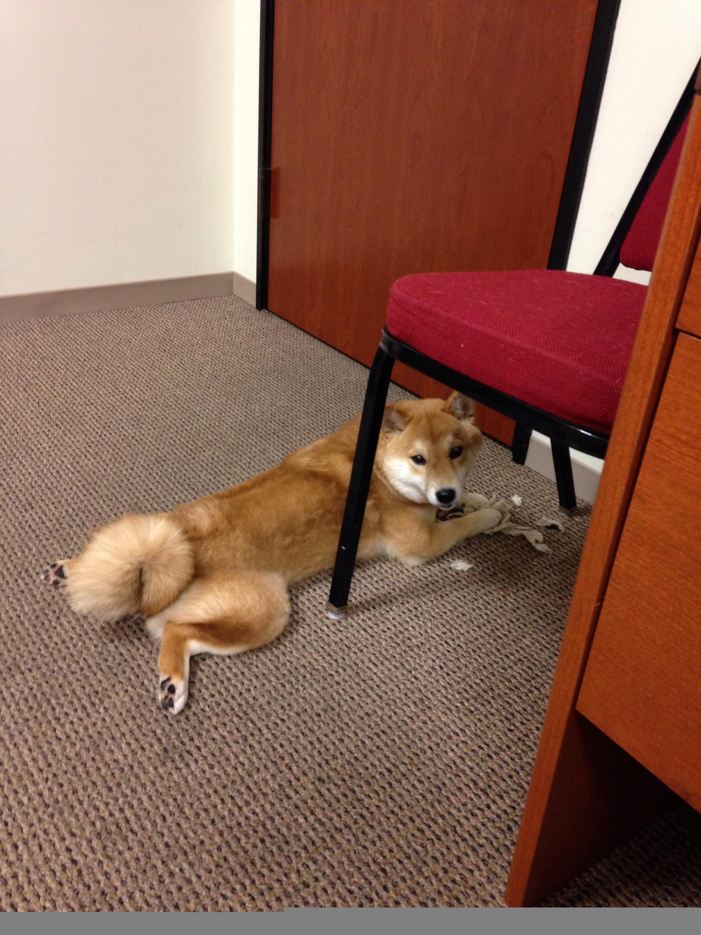 开云体育官方网站-跨洲际的绿茵交响曲，C罗的里程碑与特奥的加冕礼