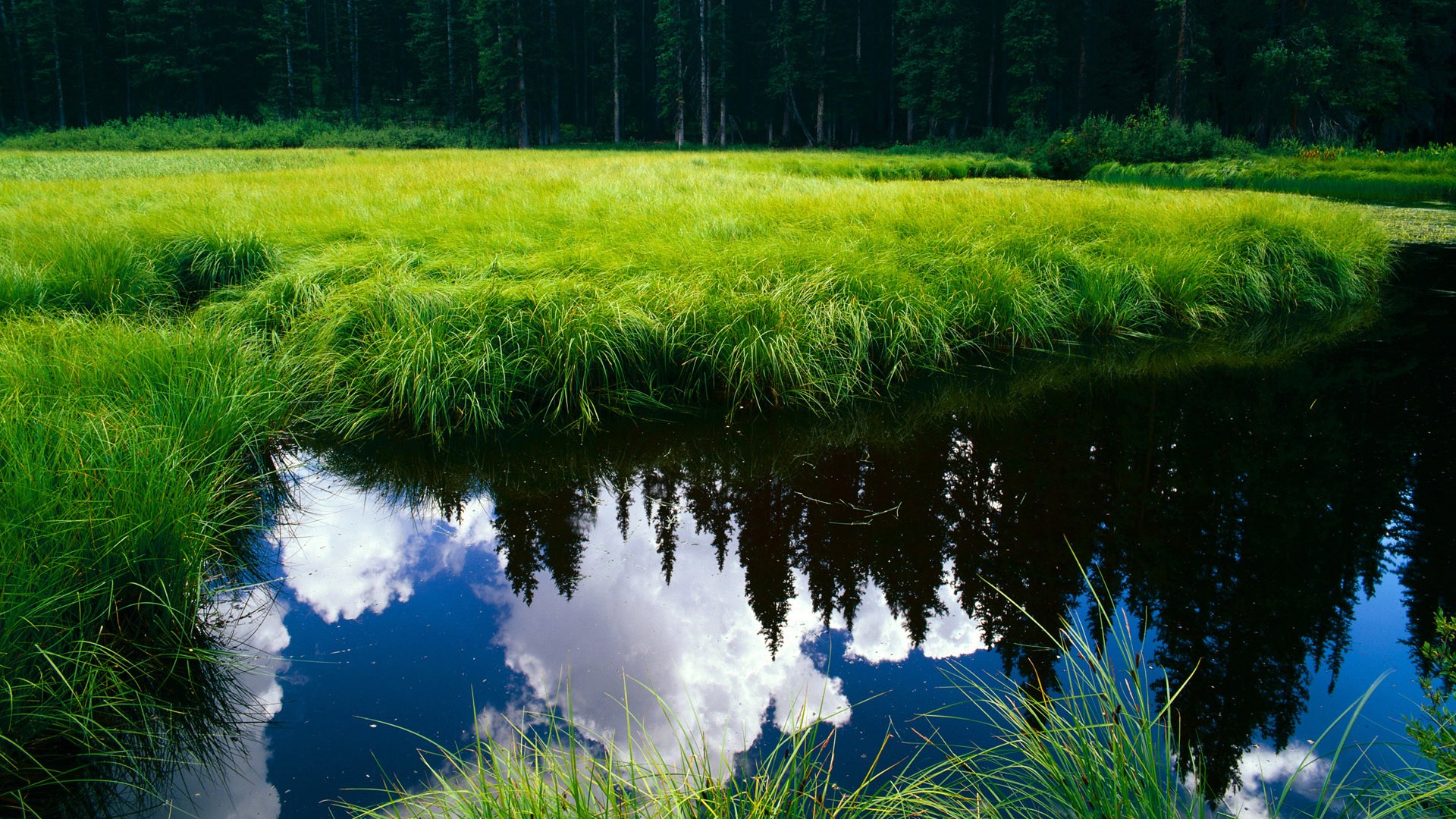 开云体育入口-步行者斩落辽宁队，范弗利特在世界排名争夺战接管比赛