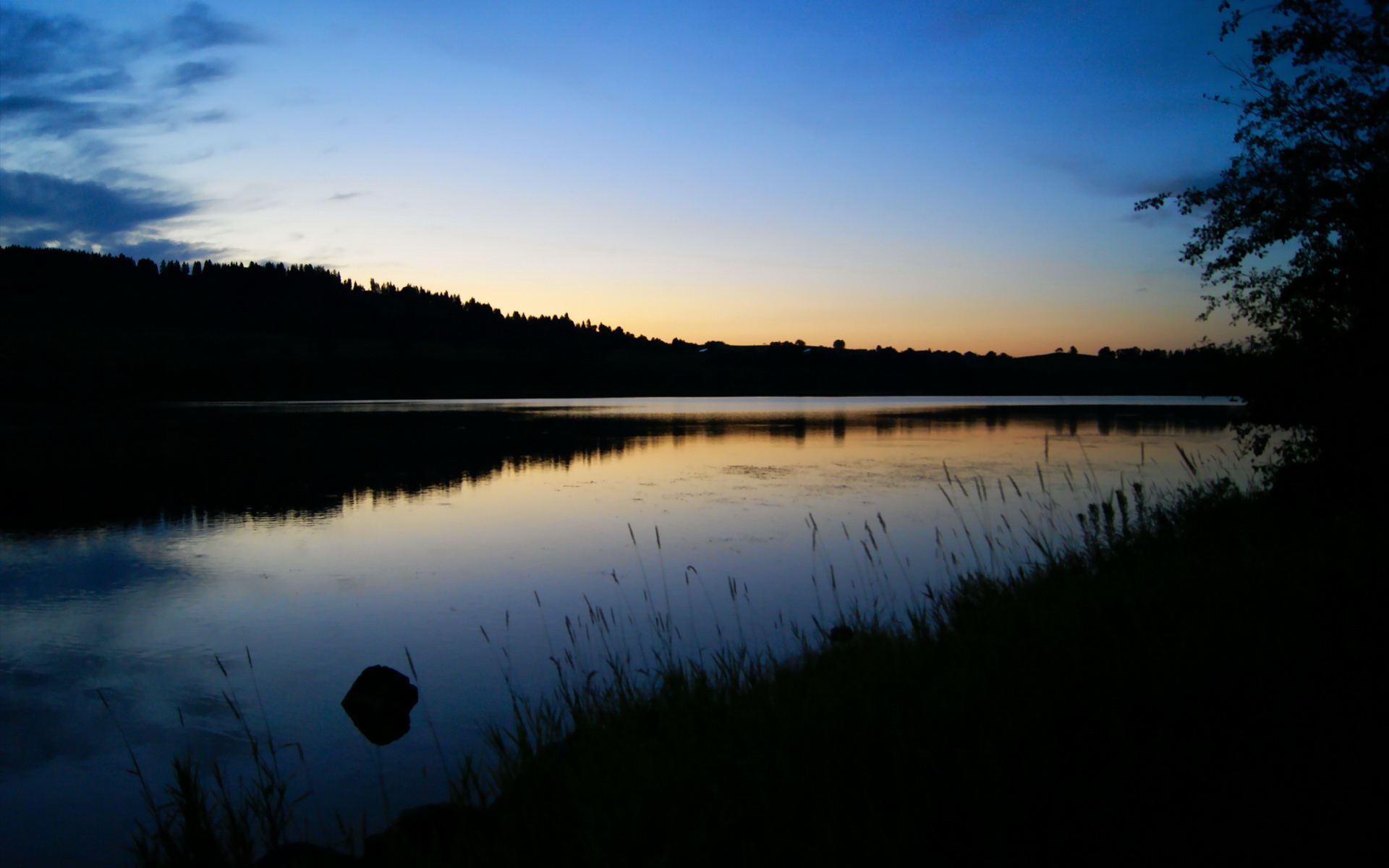 开云下载-步行者对阵国王，布伦森存在感拉满