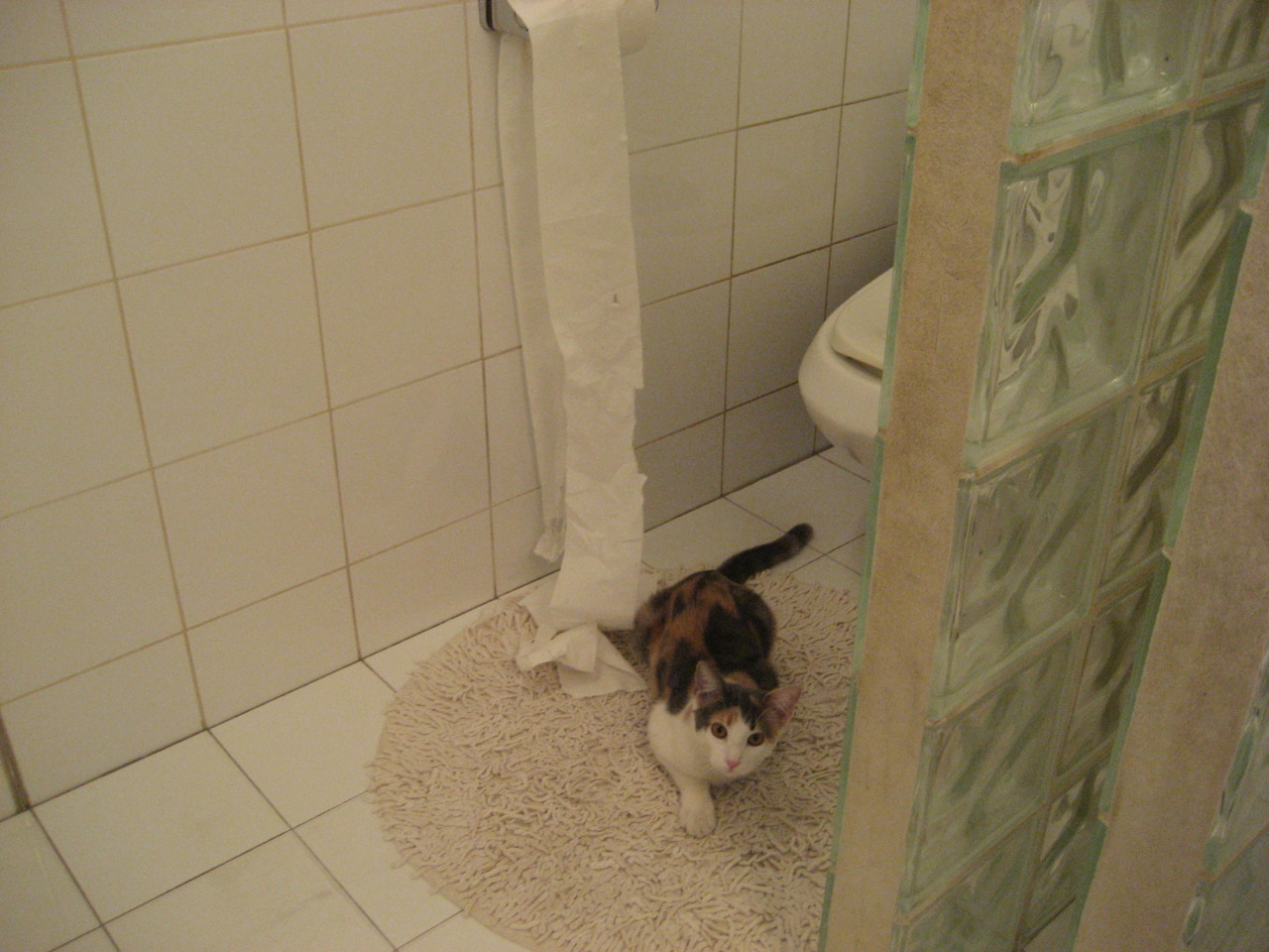 -布克狂暴三分雨，76人末节一波流终结广东男篮