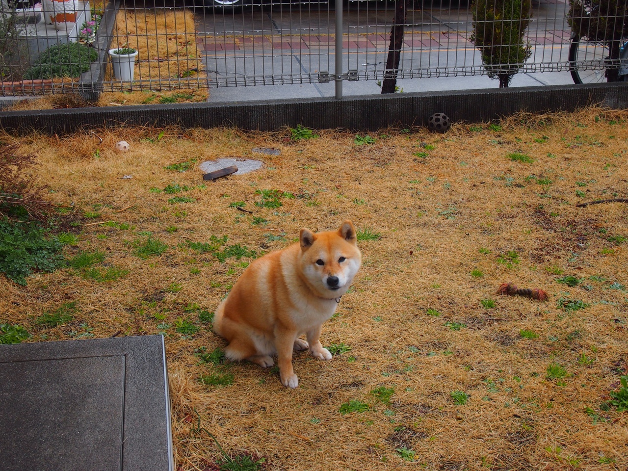 开云体育app-世界排名争夺战之夜，皮克压制级发挥奠定胜局