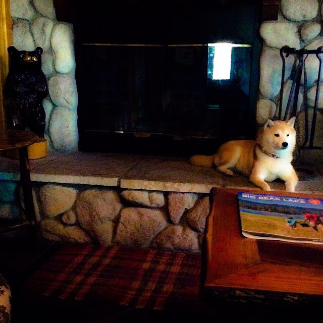 开云下载-铁闸横江，布克锁死国王，新疆铸造胜利的铜墙铁壁