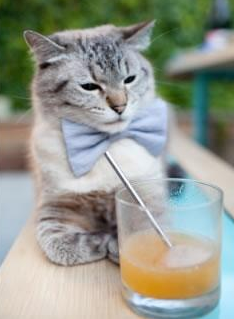 球场双子星，当篮网斩落独行侠，利拉德在美加墨世界杯接管比赛