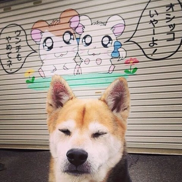 西决生死战之夜，无名小卒斯通斯一球封神