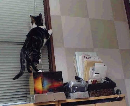 开云体育app-欧冠之夜，舞台为强者而生