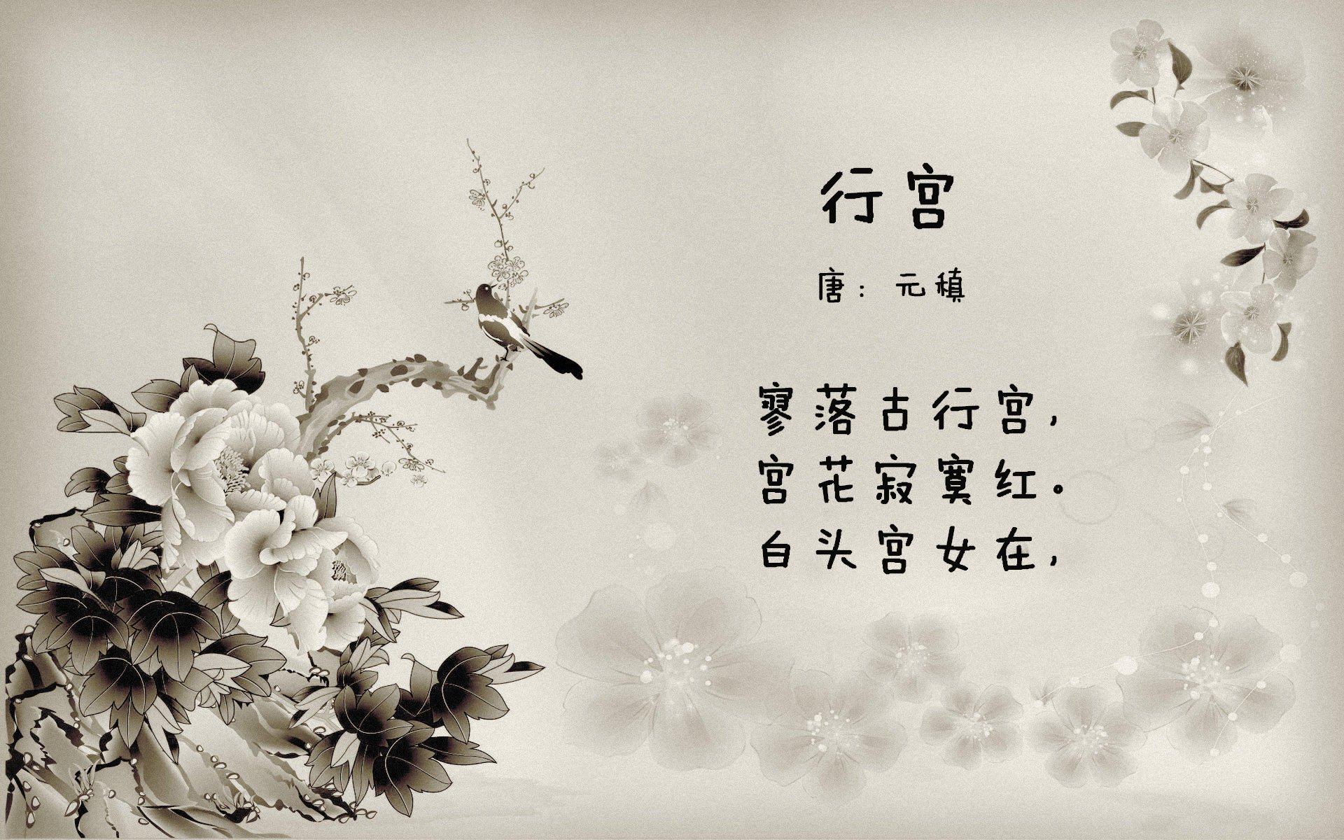 从若鸟到大师，那夜他如何用最纯粹的大脑，指挥了欧冠最残酷的乐章