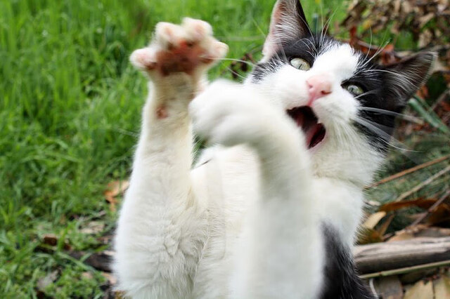 开云体育app-阿克之夜，在世界的呼吸边缘破晓