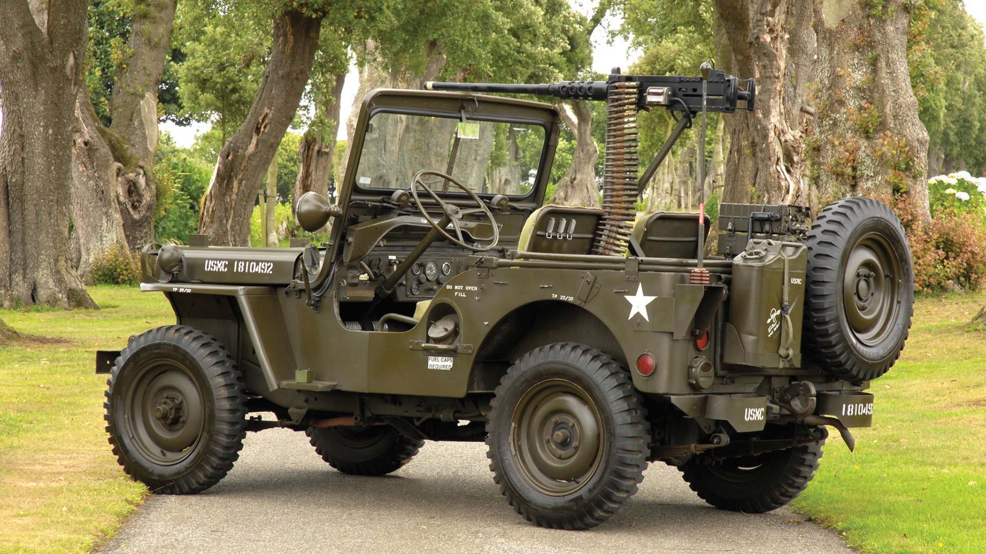 开云APP-极速与荣耀，F1年度争冠焦点战与国王力克灰熊的体育交响曲