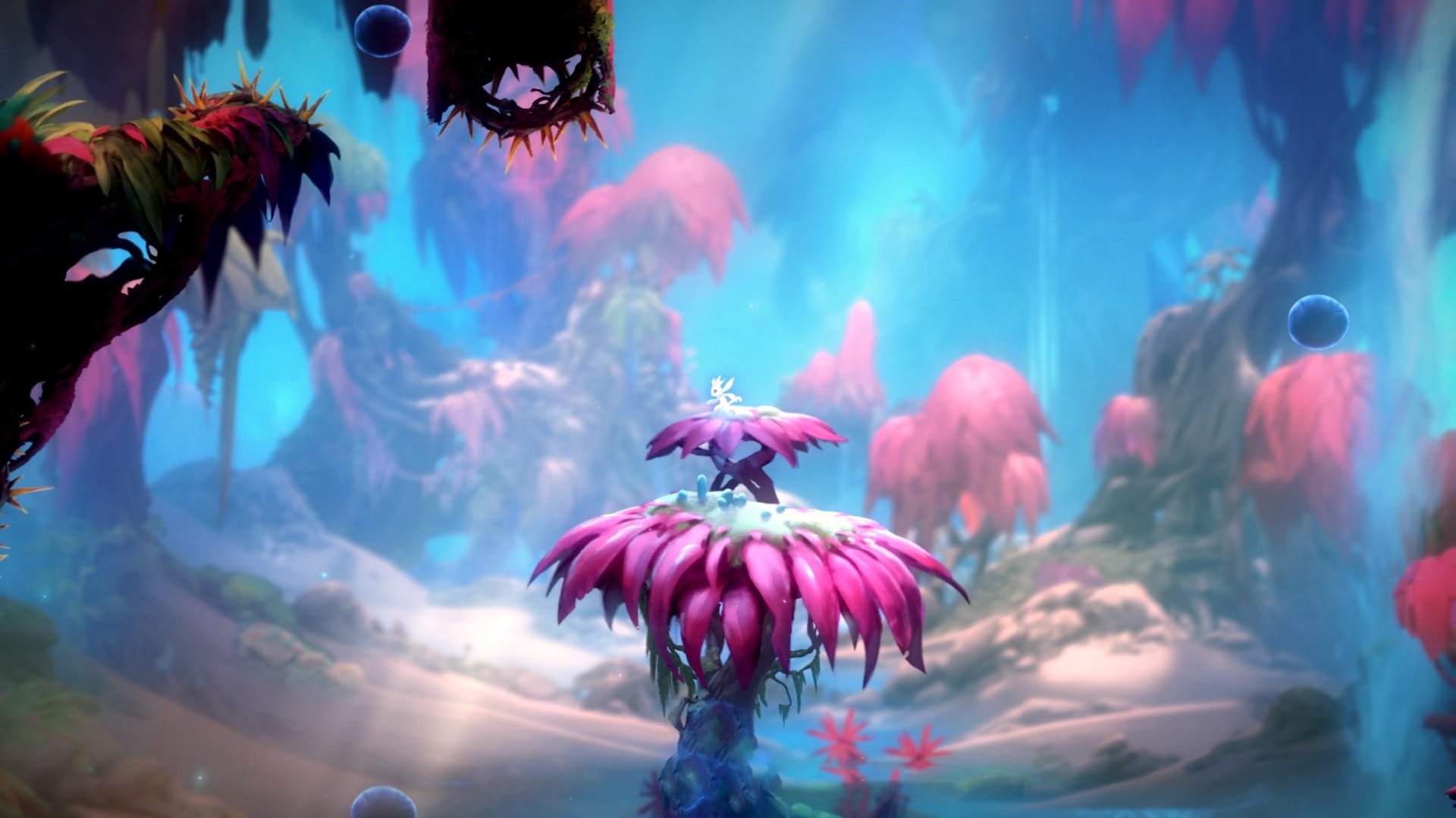 开云体育中国-战术教科书！乌克兰用精准边路切割锁死土耳其，奥斯梅恩成关键先生