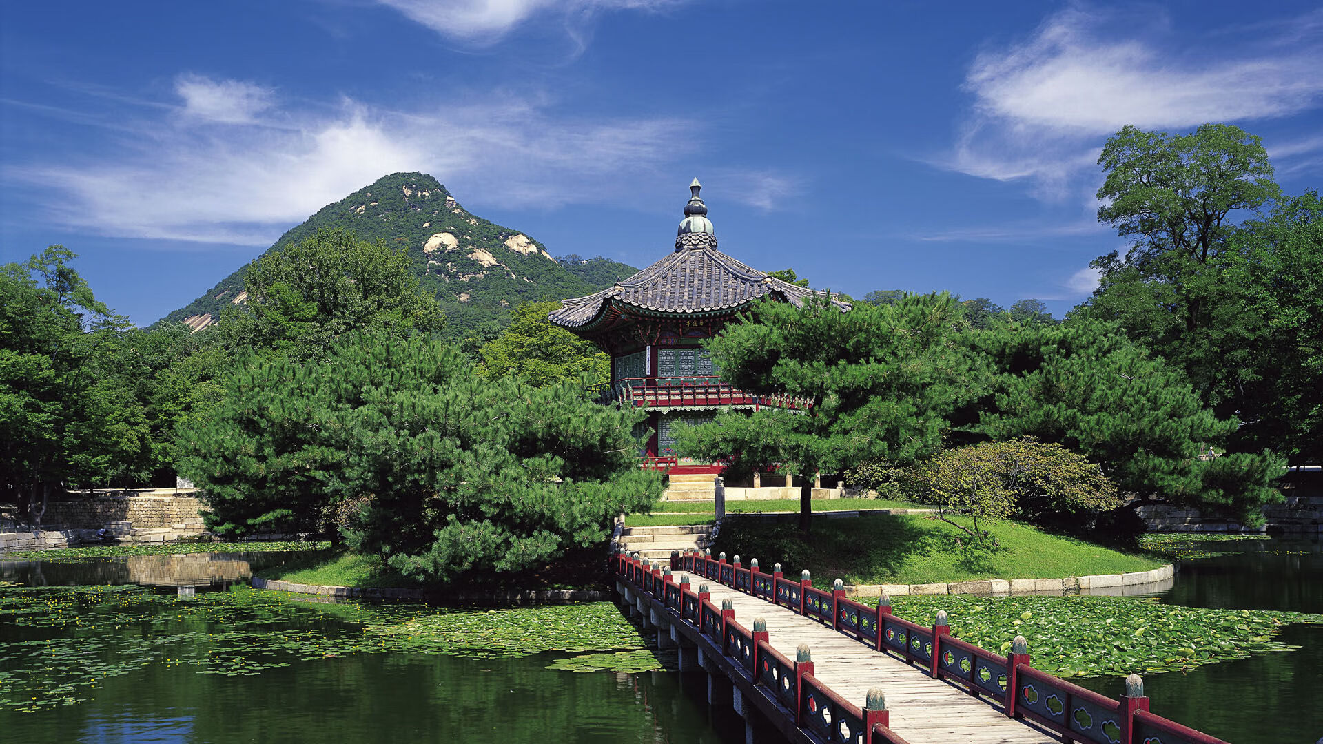 压哨绝杀!凯尔特人险胜尼克斯,季后赛焦点战引爆激情与悬念