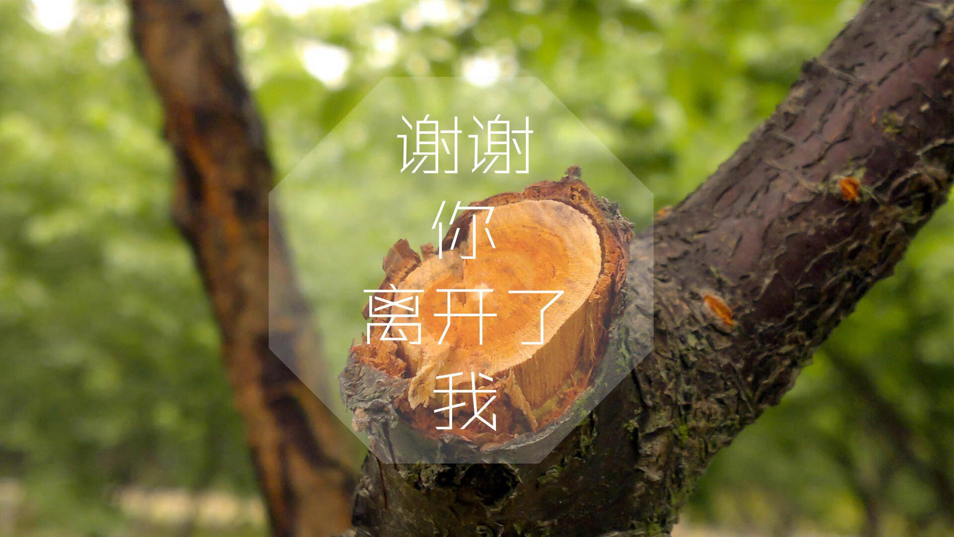 北欧童话破灭?维尼修斯与默契之刃,刺穿2026世界杯F组最坚固防线