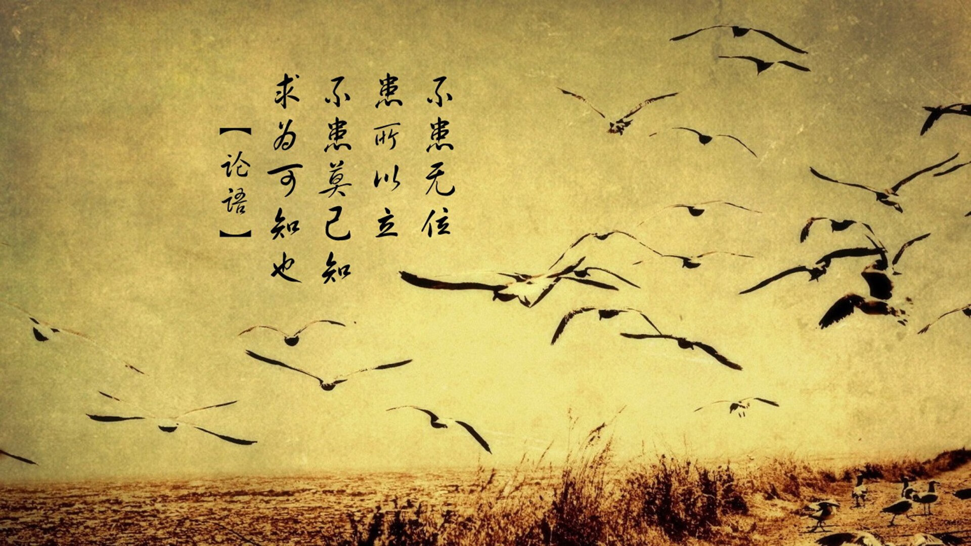 绝杀之夜!匈牙利补时破伊朗,姆巴佩天神下凡,2026世界杯C组上演史诗级对决